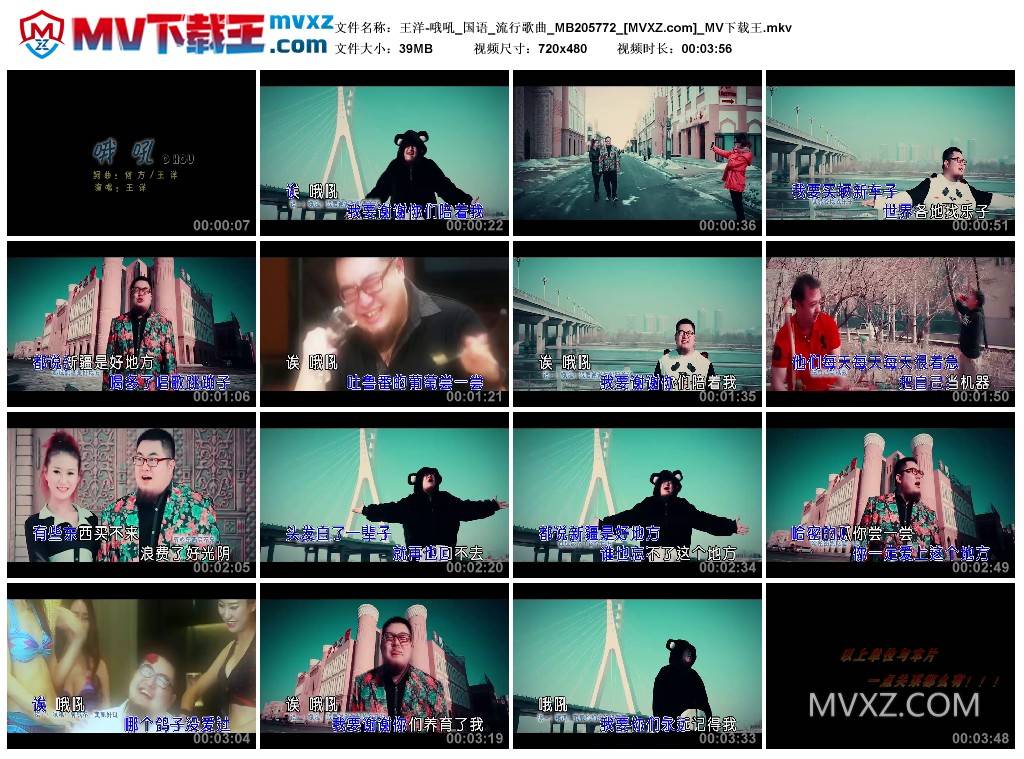 王洋-哦吼_国语_流行歌曲_MB205772